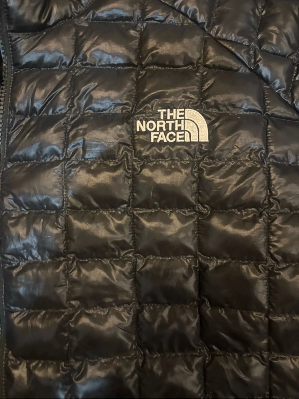 The North Face Black Quilted Puffer Jacket